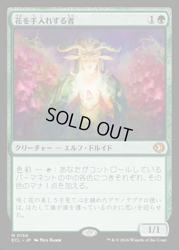 画像1: 【Foil】【日本語版】花を手入れする者/Bloom Tender (1)