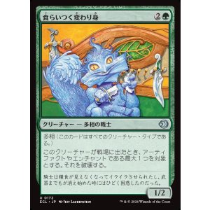画像: 【日本語版】食らいつく変わり身/Chomping Changeling