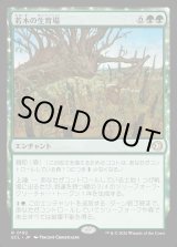 画像: 【Foil】【日本語版】若木の生育場/Sapling Nursery