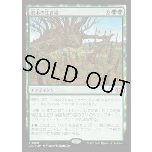 画像: 【Foil】【日本語版】若木の生育場/Sapling Nursery