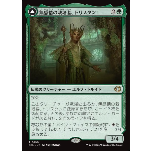 画像1: 【Foil】【日本語版】無感情の栽培者、トリスタン/改悛の淘汰者、トリスタン/Trystan, Callous Cultivator/Trystan, Penitent Culler (1)