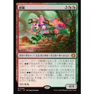 画像: 【日本語版】鮮麗/Vibrance