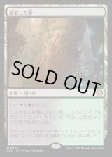 画像: 【Foil】【日本語版】草むした墓/Overgrown Tomb