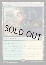 画像: 【Foil】【日本語版】寺院の庭/Temple Garden