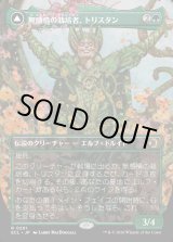 画像: 【ボーダーレス】【日本語版】無感情の栽培者、トリスタン/改悛の淘汰者、トリスタン/Trystan, Callous Cultivator/Trystan, Penitent Culler