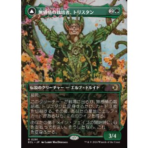 画像: 【ボーダーレス】【日本語版】無感情の栽培者、トリスタン/改悛の淘汰者、トリスタン/Trystan, Callous Cultivator/Trystan, Penitent Culler