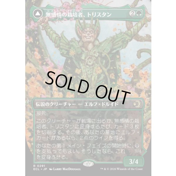 画像1: 【Foil】【ボーダーレス】【日本語版】無感情の栽培者、トリスタン/改悛の淘汰者、トリスタン/Trystan, Callous Cultivator/Trystan, Penitent Culler (1)