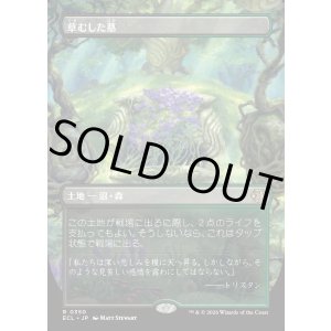 画像: 【Foil】【リバーシブル・ボーダーレス】【日本語版】草むした墓/Overgrown Tomb