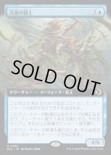 画像: 【Foil】【拡張枠】【日本語版】浅瀬の闘士/Champions of the Shoal