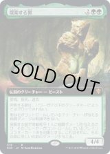 画像: 【拡張アート】【日本語版】探索する獣/Questing Beast