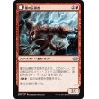 画像1: 【日本語版】嵐の伝導者/エムラクールの伝導者/Conduit of Storms/Conduit of Emrakul (1)