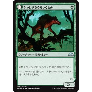 画像: 【日本語版】ケッシグをうろつくもの/しなやかな捕食者/Kessig Prowler/Sinuous Predator