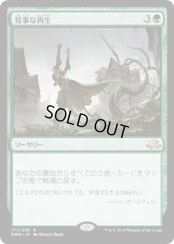 画像1: 【日本語版】見事な再生/Splendid Reclamation (1)