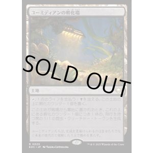 画像: 【日本語版】ユーミディアンの孵化場/Eumidian Hatchery