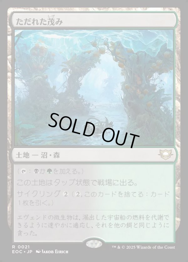 画像1: 【日本語版】ただれた茂み/Festering Thicket (1)