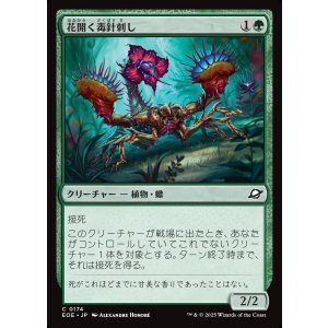 画像: 【日本語版】花開く毒針刺し/Blooming Stinger