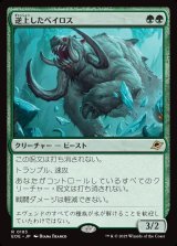 画像: 【日本語版】逆上したベイロス/Frenzied Baloth