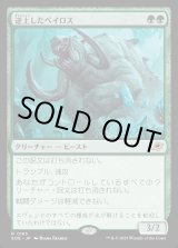 画像: 【Foil】【日本語版】逆上したベイロス/Frenzied Baloth