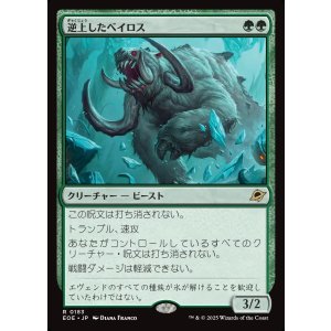 画像: 【Foil】【日本語版】逆上したベイロス/Frenzied Baloth