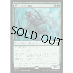 画像: 【Foil】【日本語版】逆上したベイロス/Frenzied Baloth