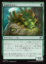 画像: 【日本語版】血液共生のダニ/Hemosymbic Mite