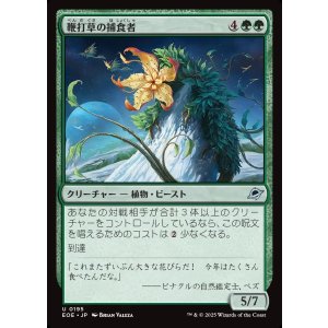 画像: 【日本語版】鞭打草の捕食者/Lashwhip Predator