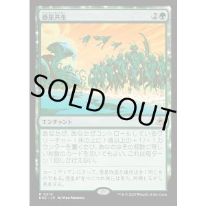 画像: 【Foil】【日本語版】惑星共生/Terrasymbiosis