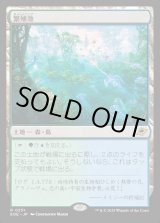 画像: 【Foil】【日本語版】繁殖池/Breeding Pool