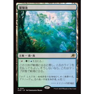 画像: 【Foil】【日本語版】繁殖池/Breeding Pool