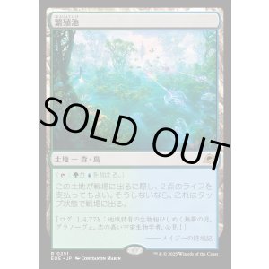 画像: 【Foil】【日本語版】繁殖池/Breeding Pool