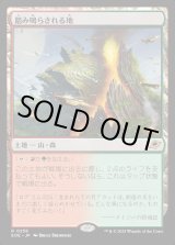 画像: 【Foil】【日本語版】踏み鳴らされる地/Stomping Ground