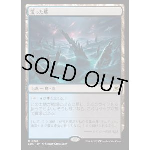 画像: 【Foil】【日本語版】湿った墓/Watery Grave