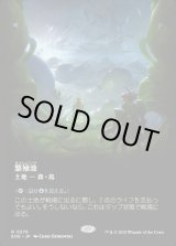 画像: 【Foil】【ボーダーレス】【日本語版】繁殖池/Breeding Pool