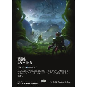 画像: 【ボーダーレス】【日本語版】繁殖池/Breeding Pool