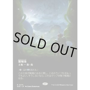 画像: 【Foil】【ボーダーレス】【日本語版】繁殖池/Breeding Pool