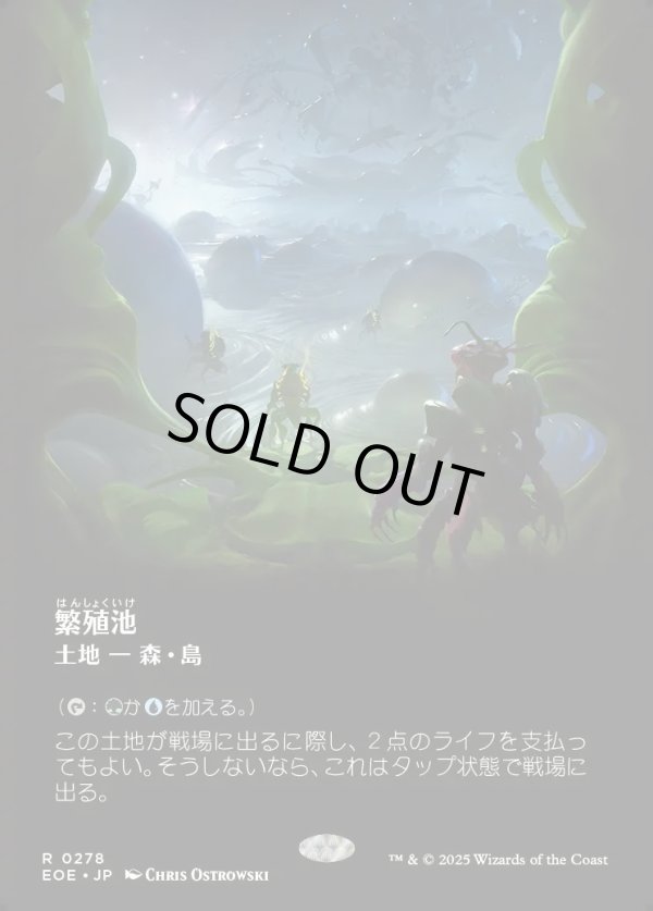 画像1: 【Foil】【ボーダーレス】【日本語版】繁殖池/Breeding Pool (1)