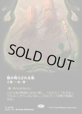 画像: 【ボーダーレス】【日本語版】踏み鳴らされる地/Stomping Ground