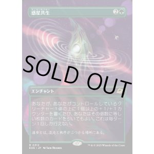 画像: 【Foil】【ボーダーレス】【日本語版】惑星共生/Terrasymbiosis