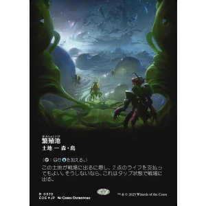 画像: 【ギャラクシーFoil】【日本語版】繁殖池/Breeding Pool