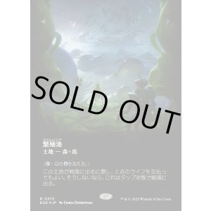 画像: 【ギャラクシーFoil】【日本語版】繁殖池/Breeding Pool