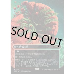 画像: 【Foil】【星景】【日本語版】怒り狂う山峡/Raging Ravine