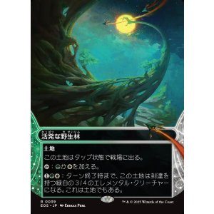画像: 【星景】【日本語版】活発な野生林/Stirring Wildwood