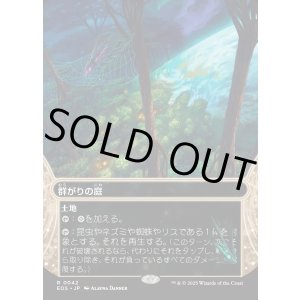 画像: 【Foil】【星景】【日本語版】群がりの庭/Swarmyard