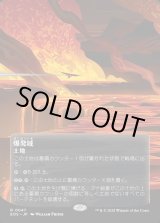画像: 【星景ポスター】【日本語版】爆発域/Blast Zone