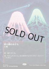 画像: 【Foil】【星景ポスター】【日本語版】燃え柳の木立ち/Grove of the Burnwillows