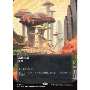画像: 【星景ポスター】【日本語版】高級市場/High Market