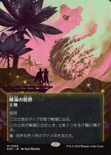 画像: 【星景ポスター】【日本語版】睡蓮の原野/Lotus Field