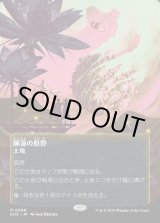 画像: 【Foil】【星景ポスター】【日本語版】睡蓮の原野/Lotus Field