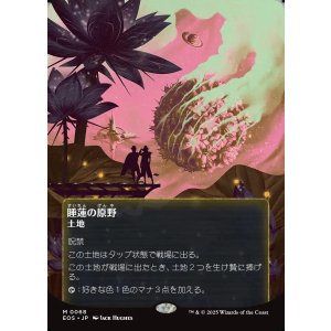 画像: 【星景ポスター】【日本語版】睡蓮の原野/Lotus Field