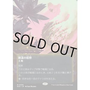 画像: 【星景ポスター】【日本語版】睡蓮の原野/Lotus Field